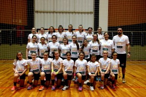 Handebol