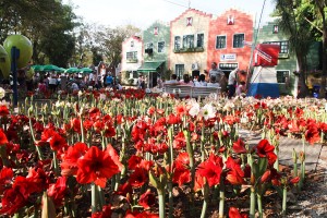 recinto da Expoflora (44)