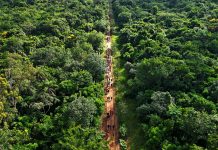 Caminhada turística ecológica é sucesso em Martinho Prado Junior