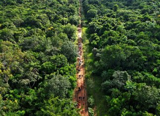 Caminhada turística ecológica é sucesso em Martinho Prado Junior