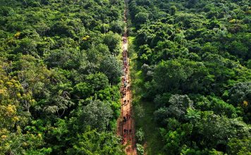 Caminhada turística ecológica é sucesso em Martinho Prado Junior